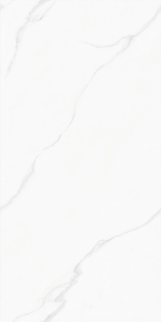 HPL26013