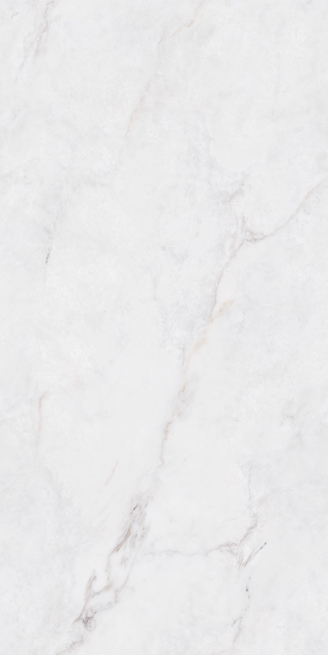 宏宇陶瓷-HFDE157008P雪霜園